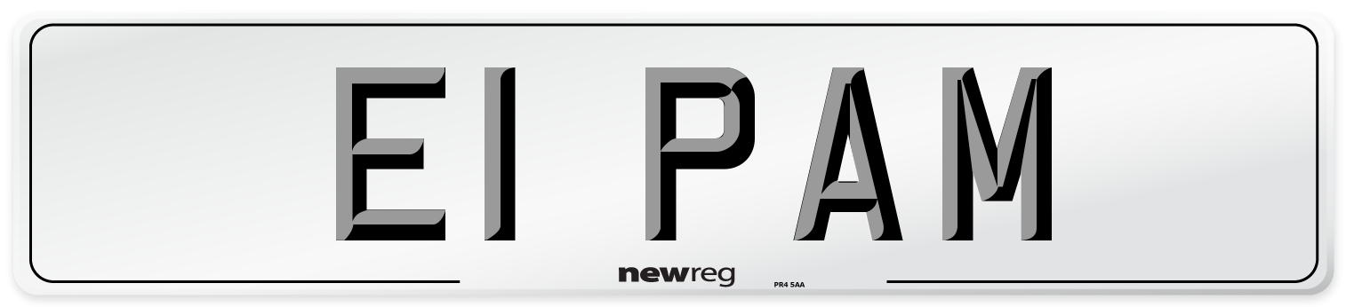 E1 PAM Number Plate from New Reg